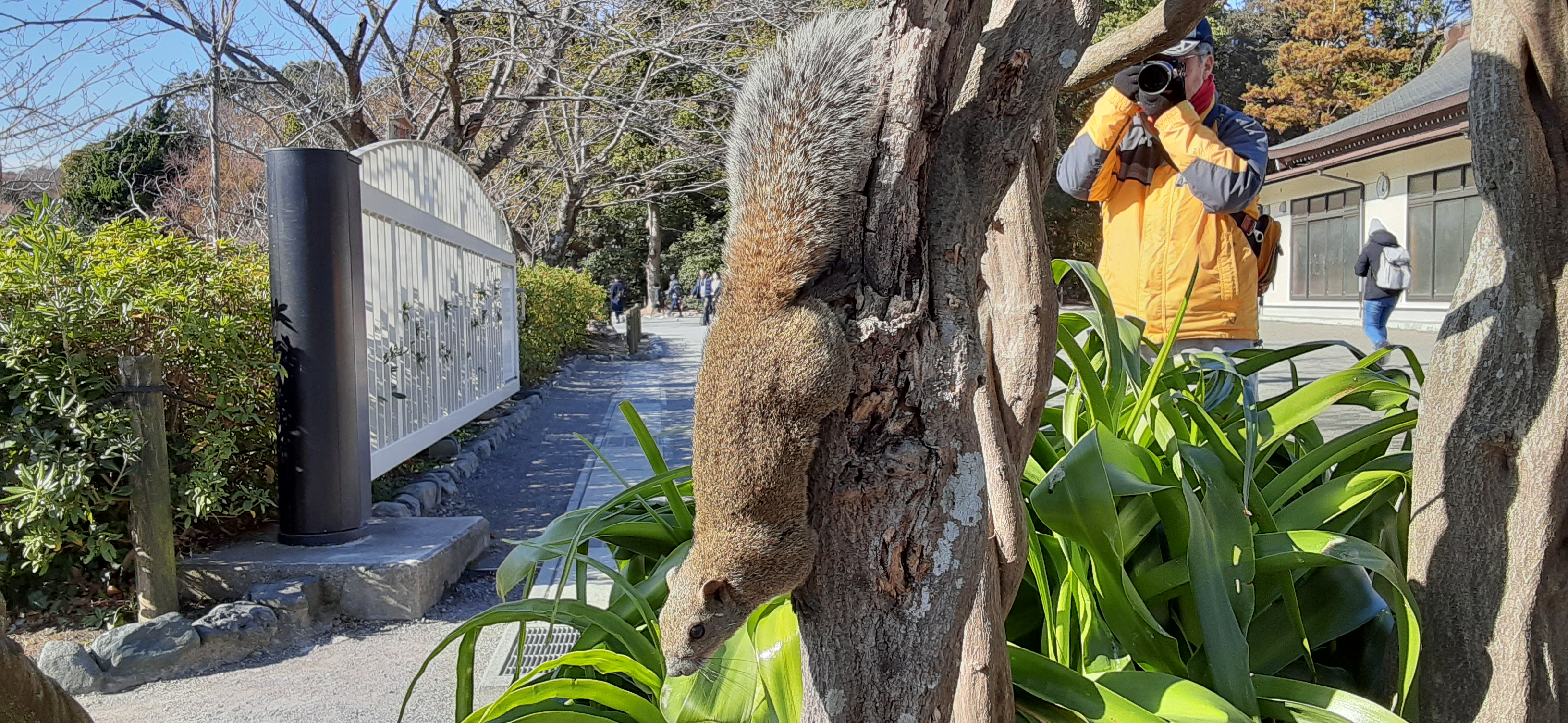 院長写真