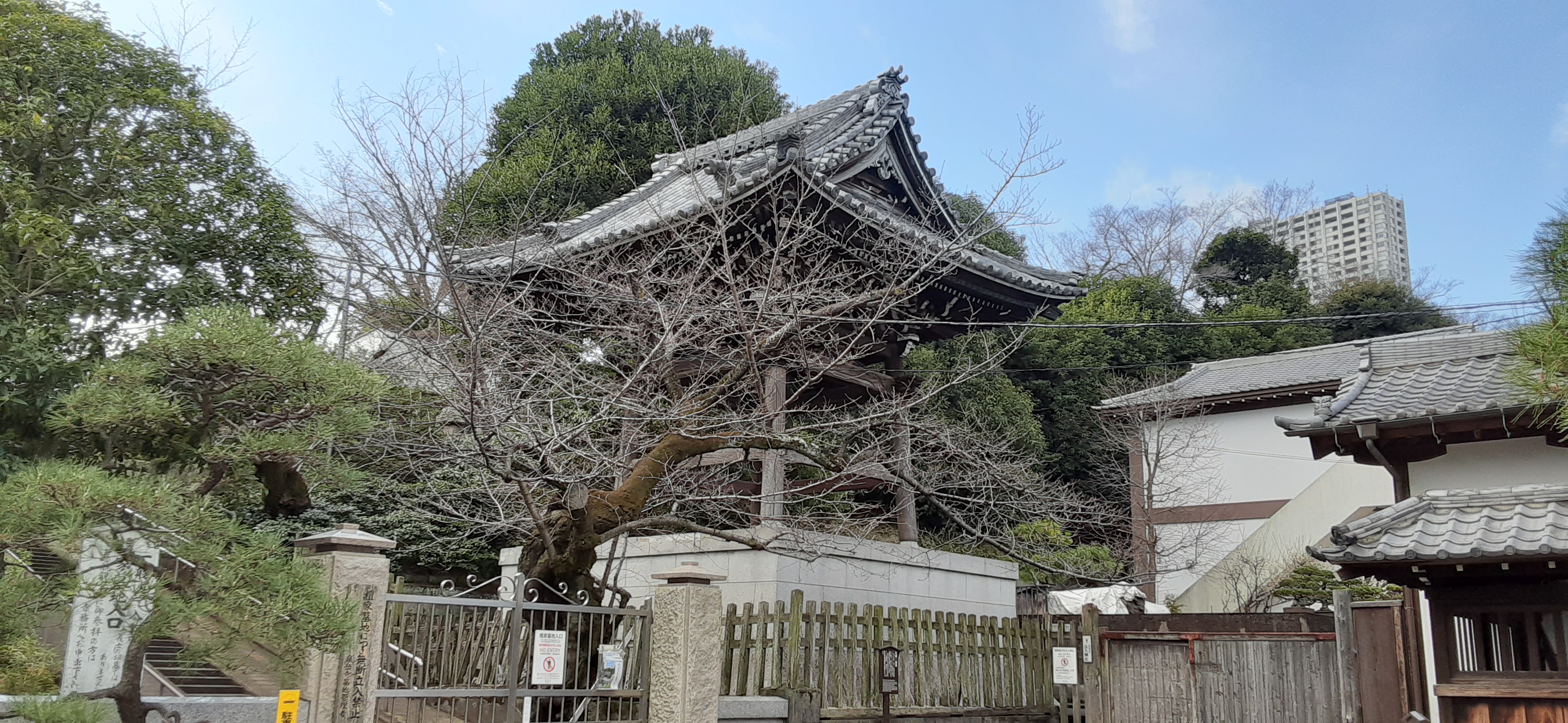院長写真