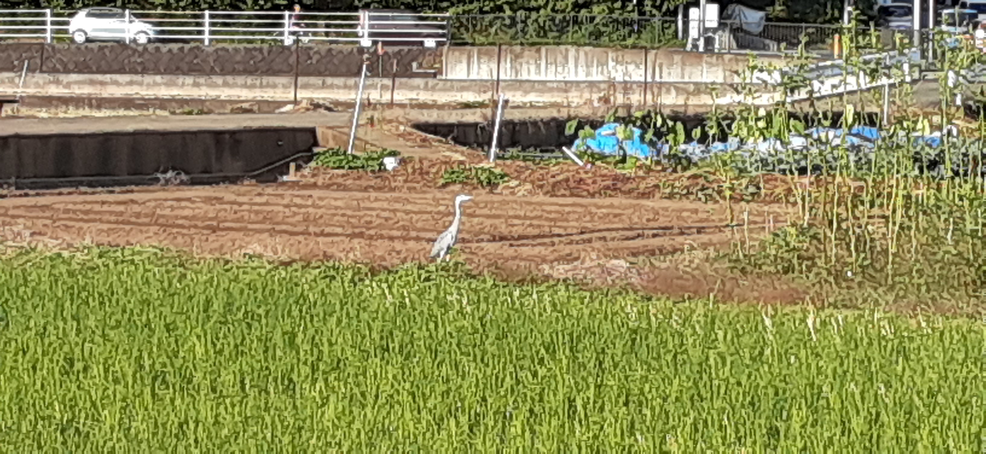 院長写真