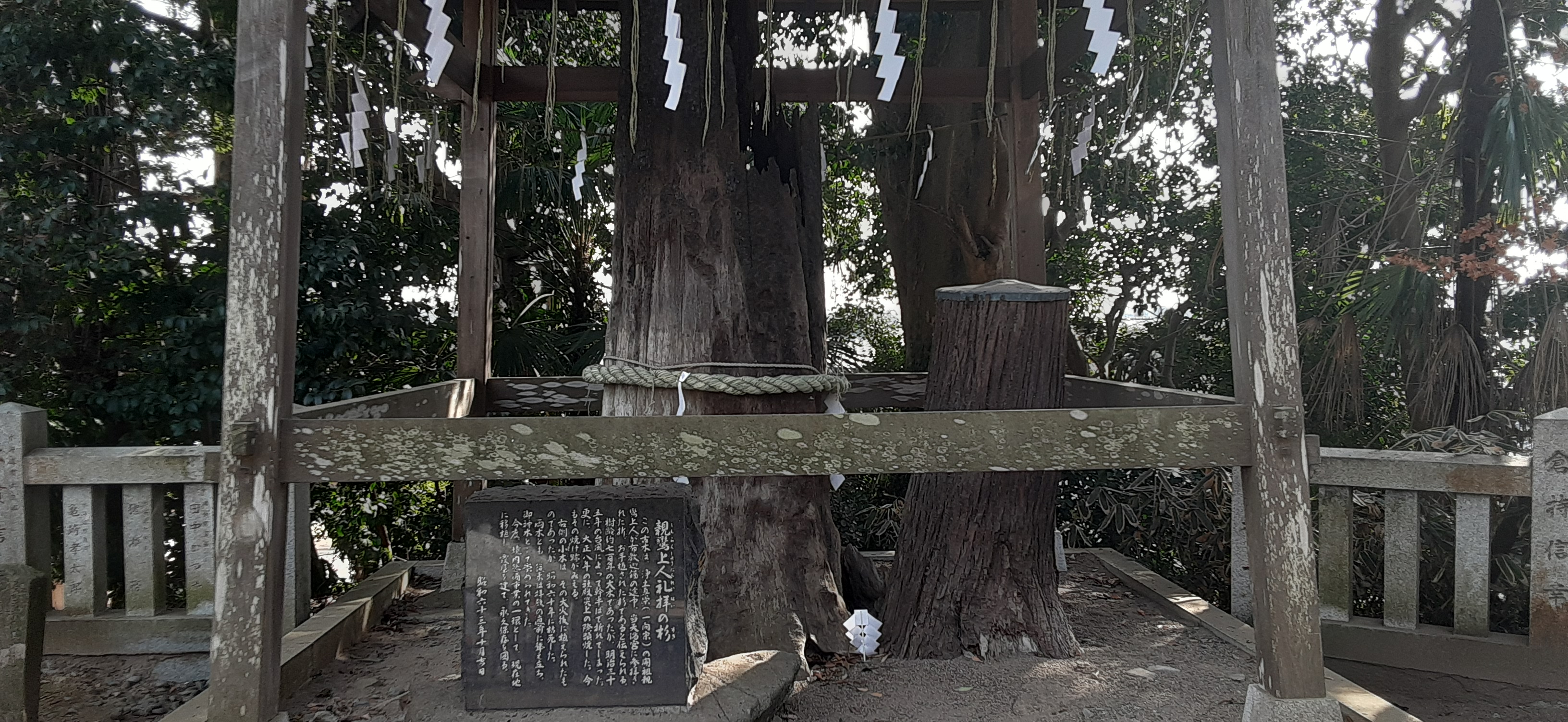 院長写真