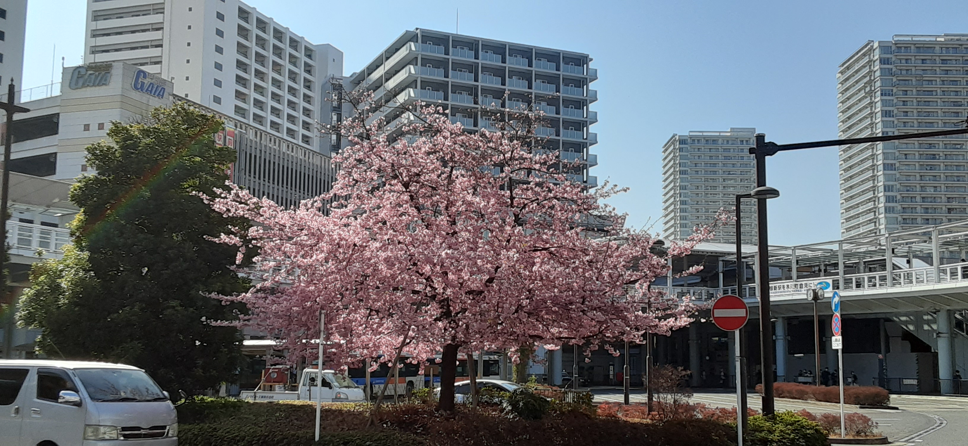 院長写真