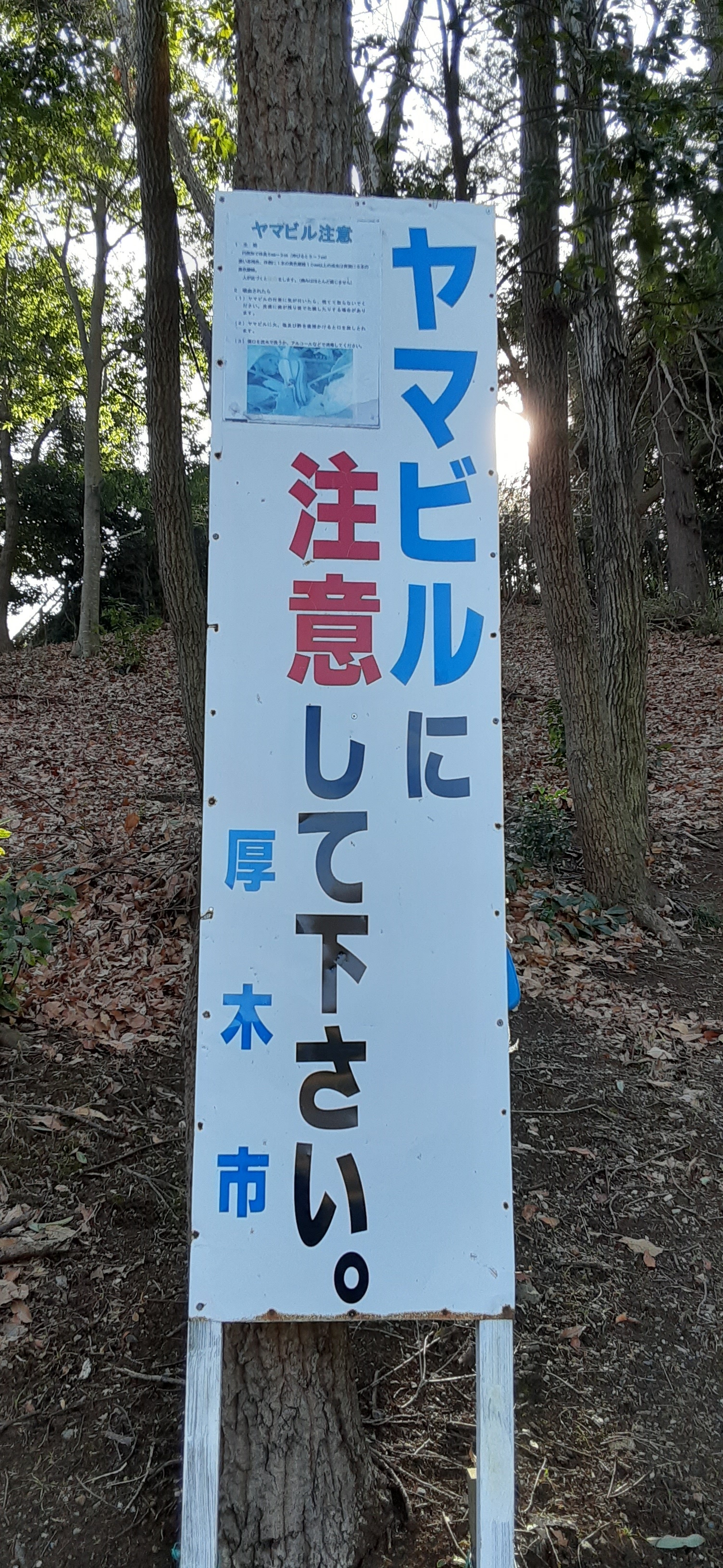 院長写真