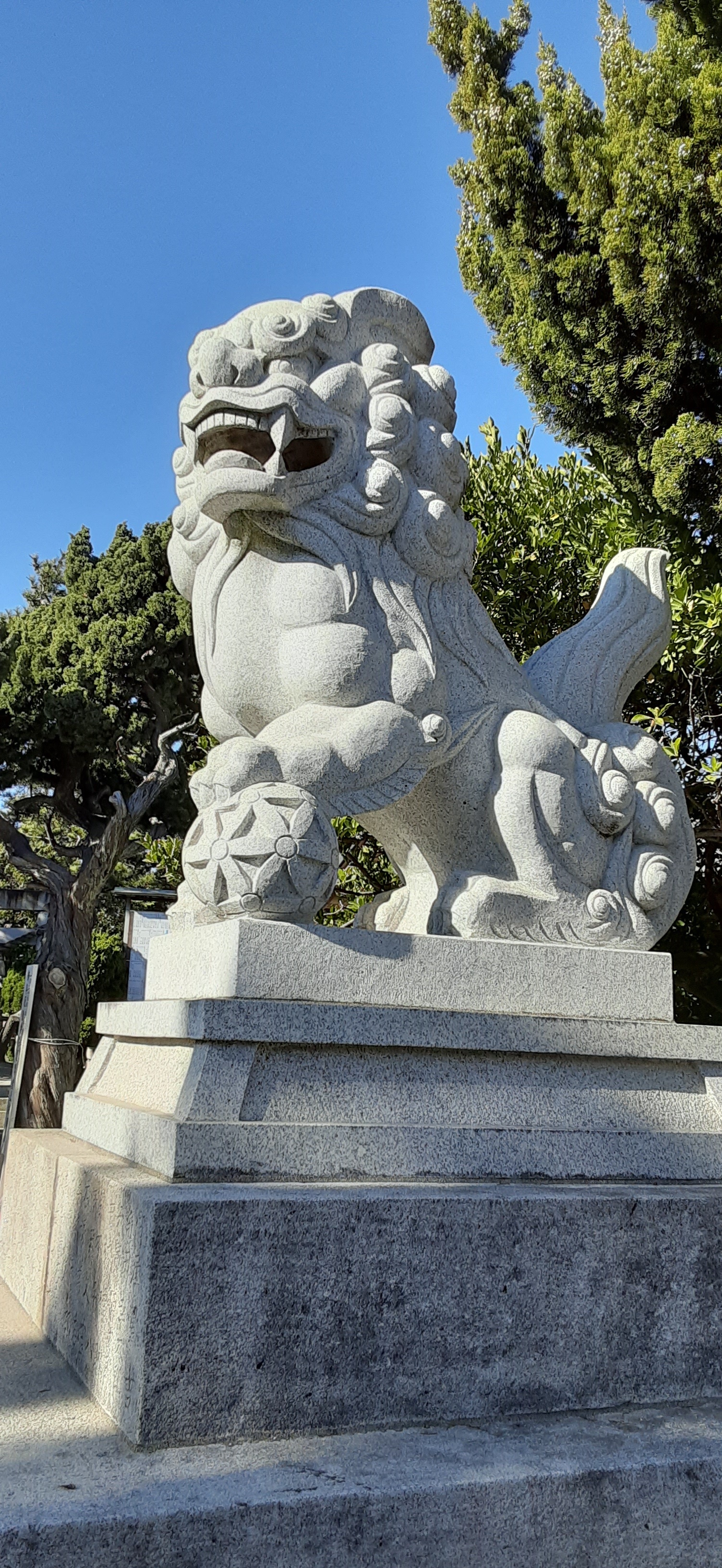 院長写真