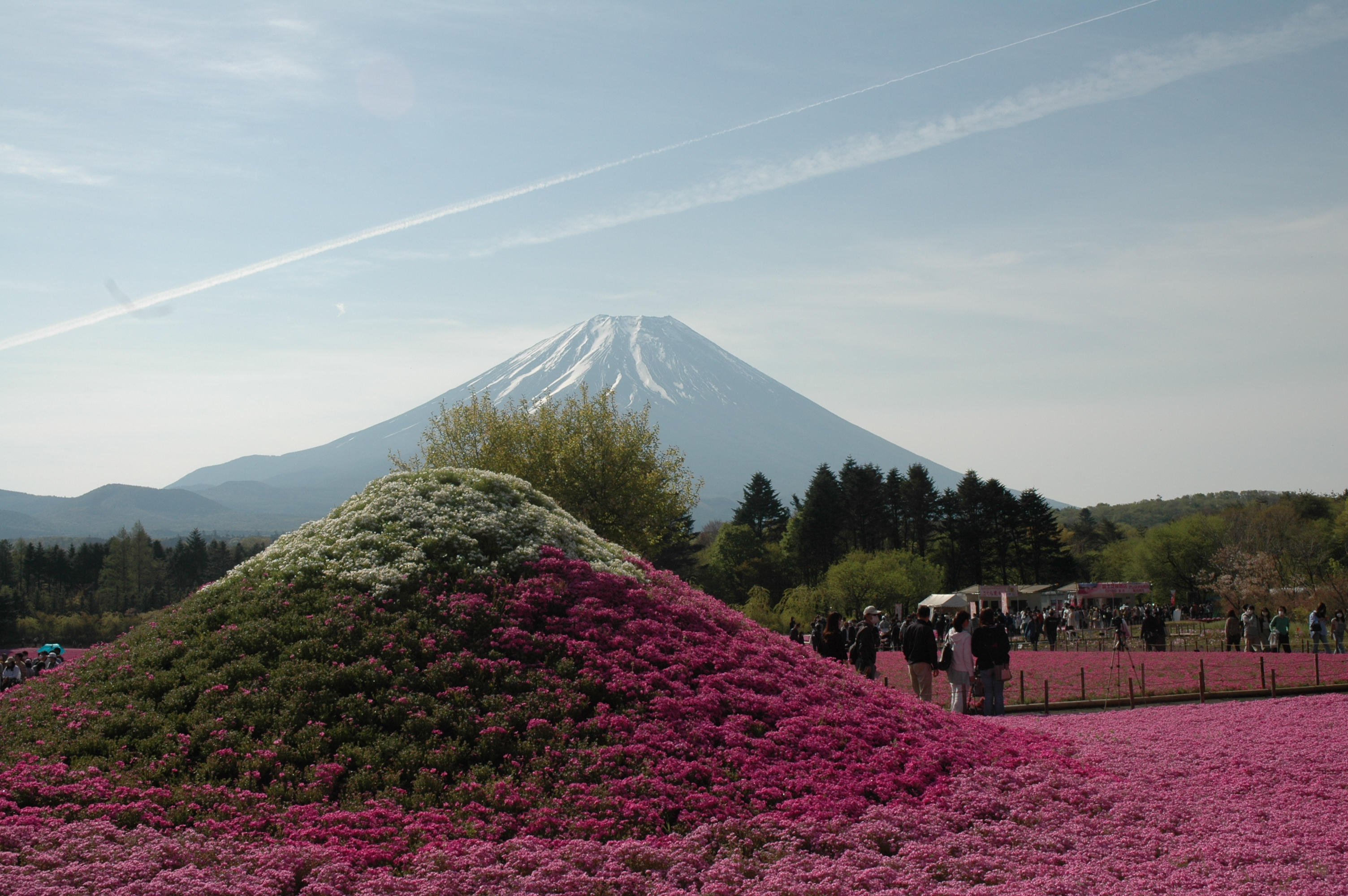 院長写真