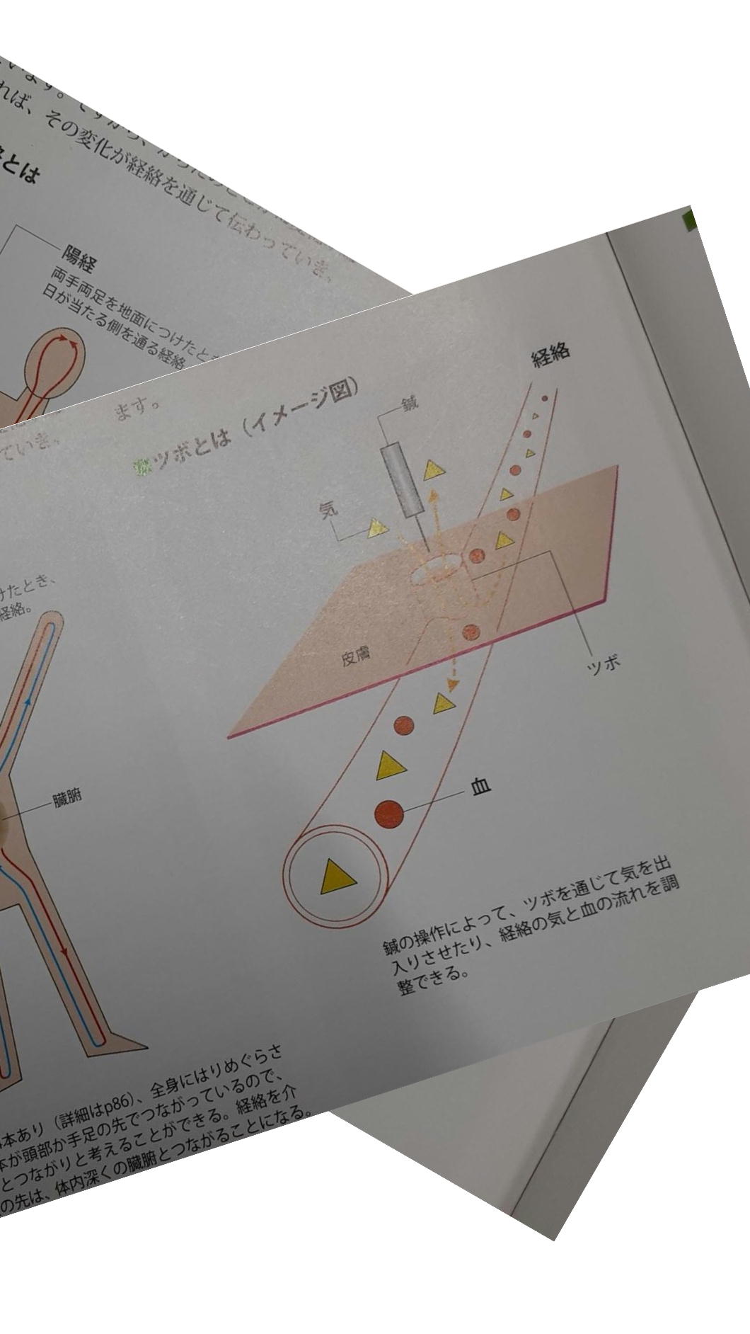 院長写真