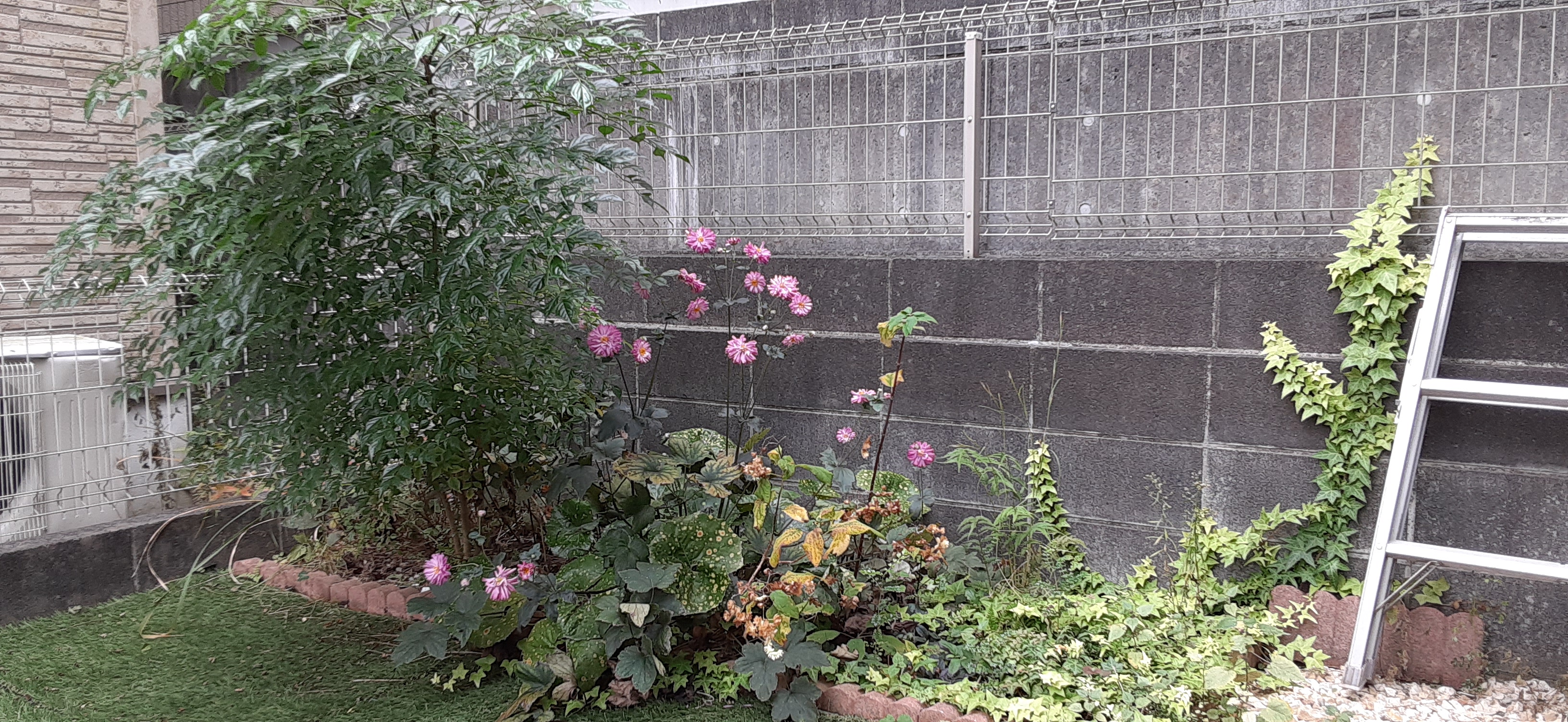 院長写真
